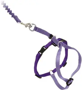 PetSafe "Come With Me" Kitty Harness And Bungee Leash (H-Harness)